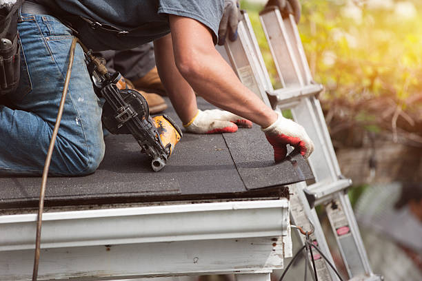 Best Roof Gutter Cleaning  in Box Elder, SD